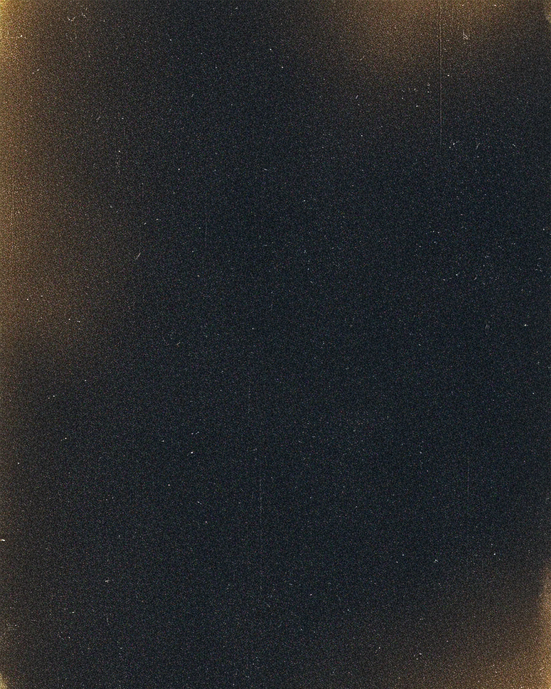 The Archive